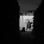 Een persoon met een capuchon op zijn hurken spuit 's nachts graffiti op een muur, omringd door donkere heggen aan weerszijden. De scène wordt verlicht door zwak licht, waardoor diepe schaduwen ontstaan.