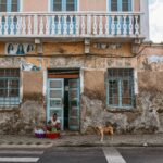 Een persoon zit op de stoep van een verweerd gebouw met afbladderende verf en getraliede ramen en wast spullen in grote kommen. Een hond staat vlakbij op de stoep voor de ingang.
